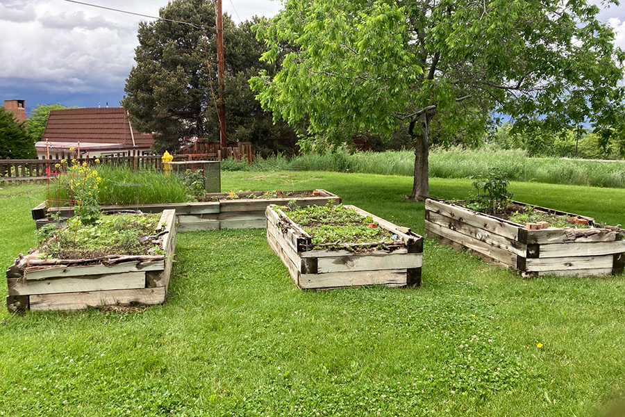 Arbor View Residents Enjoy Watching Their Gardens Grow