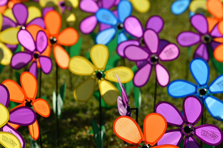 Walk to End Alzheimer’s (Denver City Park)