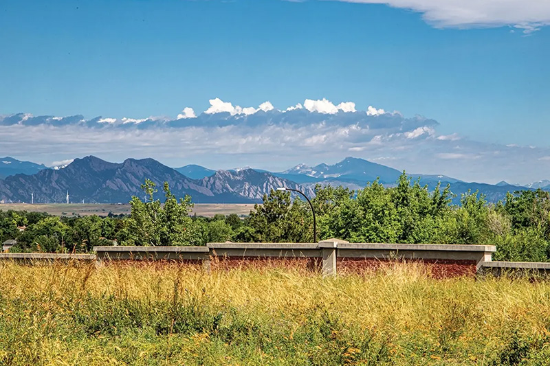 From the Foothills to Your Front Door: Exploring Arbor View