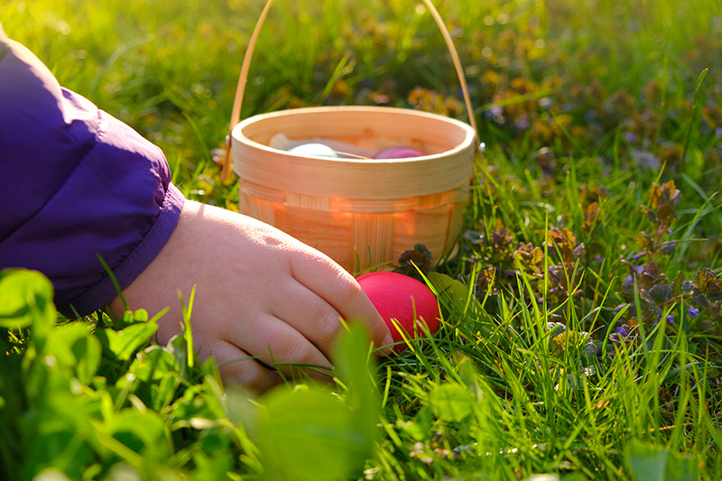 The Egg-stra Special Hunt