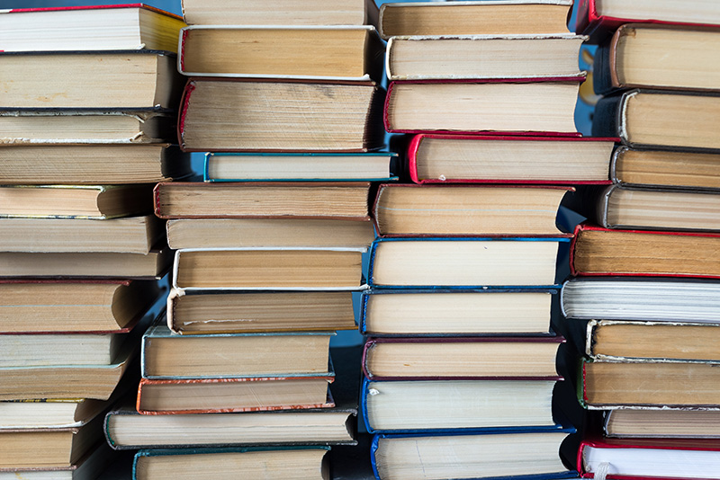 National Book Lovers Day: Stories Within Our Walls